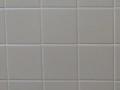 MSRI bathroom tiles