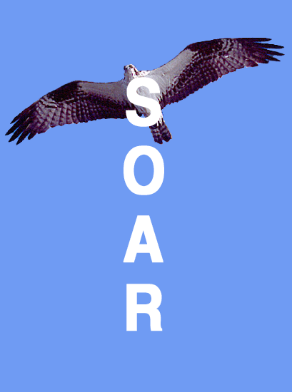 SOAR Logo: An Eagle Soaring