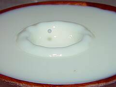A Crater in a Milk Bowl (2)