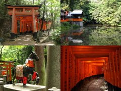 The Fushimi-Inari Shrine