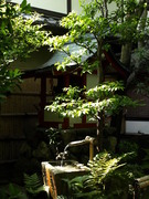Daitokuji Temple (7)