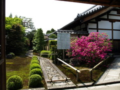 Daitokuji Temple (8)