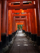 At the Fushimi-Inari Shrine (1)