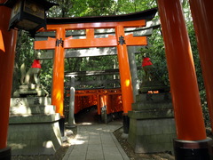 At the Fushimi-Inari Shrine (2)
