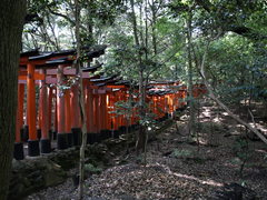 At the Fushimi-Inari Shrine (4)