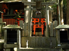 At the Fushimi-Inari Shrine (6)