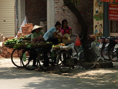 Fruit Sellers