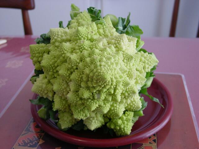 A cauliflower (3)