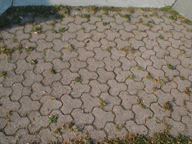 Floor tiles in Waltham