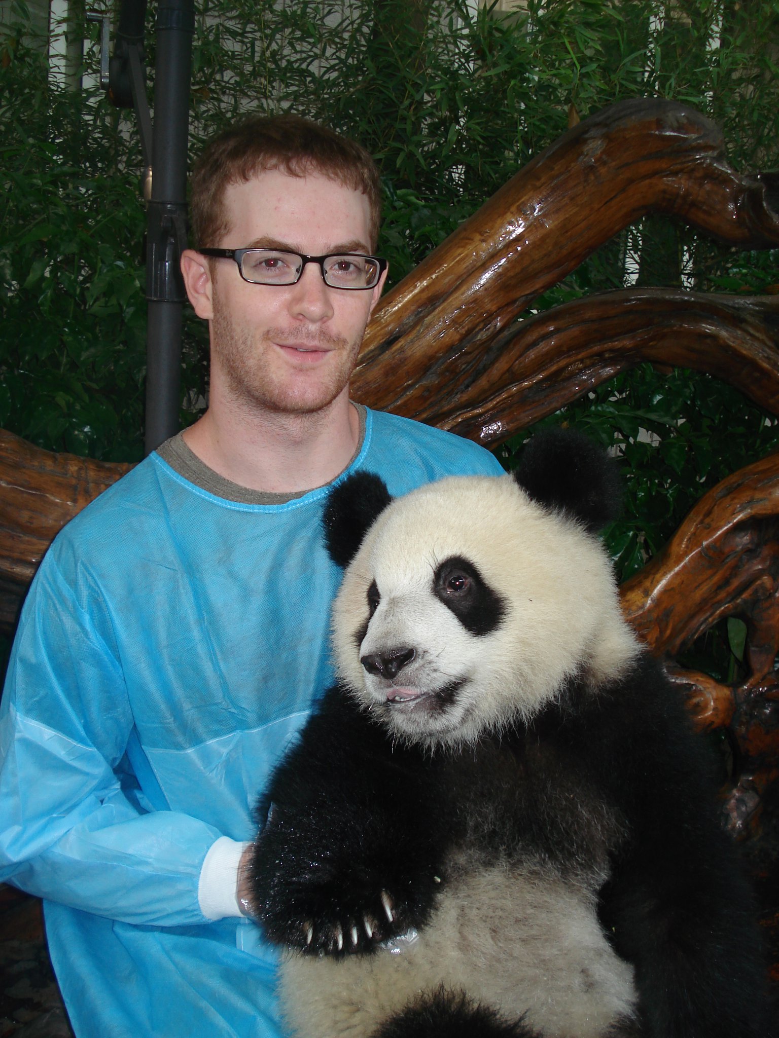 Chengdu panda research