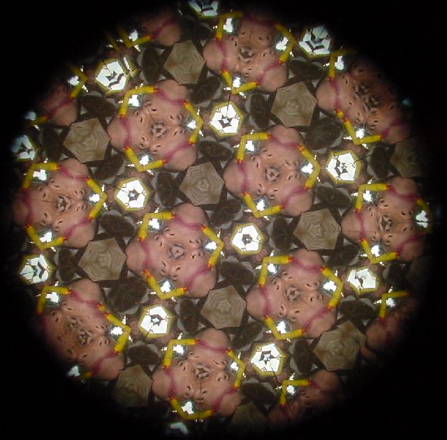 Assaf through a kaleidoscope