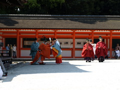 Shimogamo Jinja (5)