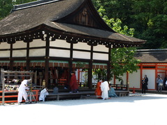 Shimogamo Jinja (6)