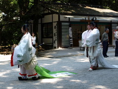 Shimogamo Jinja (10)