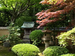 Daitokuji Temple (3)