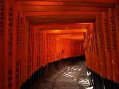 At the Fushimi-Inari Shrine (3)