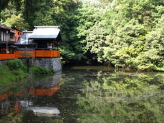 At the Fushimi-Inari Shrine (7)