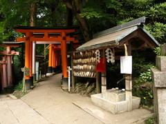 At the Fushimi-Inari Shrine (10)