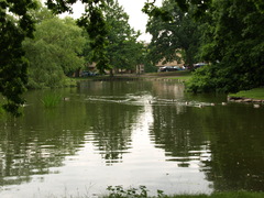 At Århus University (3)