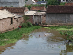 Swimming