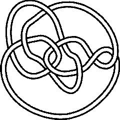 10.119