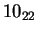 $ 10_{22}$