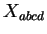 $ X_{abcd}$